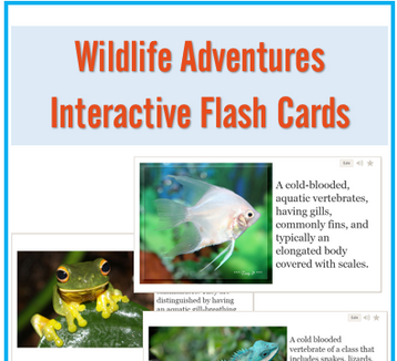 Interactive Flash Cards - home and homeschool