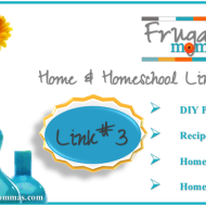 Frugal Fridays – Linkup 3- Recipes & More