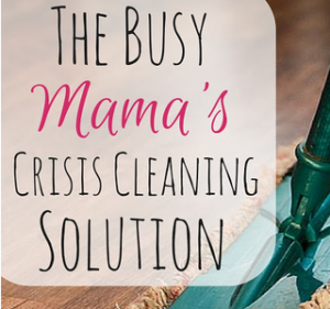 Frugal Mommas - Cleaning Solution