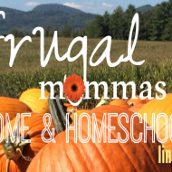 Frugal Mommas Link up 6: Home and Homeschool