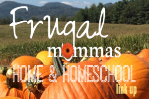 Frugal Mommas Home and Homeschool linky