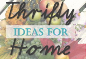 Thrifty Ideas for Home
