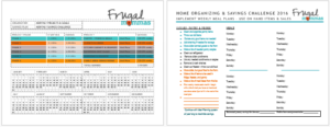 Frugal Organizing and Saving Challenge