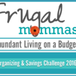 frugal organizing and saving