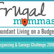 Frugal Organizing and Saving Challenge with Planner