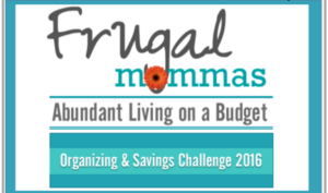 frugal organizing and saving