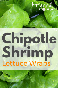 Chipotle Shrimp Lettuce Wraps