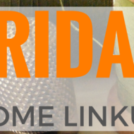 Friday Home Linkup 24 – Frugal Mommas DIY Home and Garden