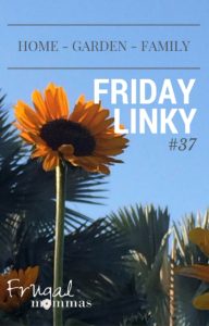 Frugal Friday Linky 37