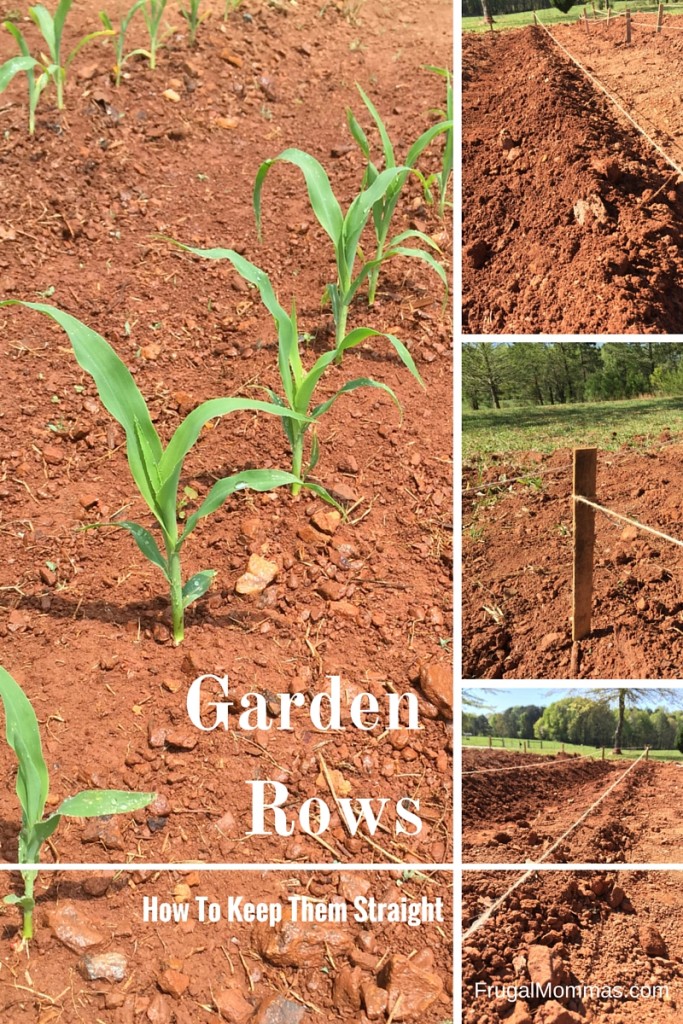 How To Get Straight Garden Rows