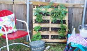 Friday Linkup - DIY Gardening