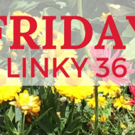 Frugal Friday Linky 36 by Frugal Mommas