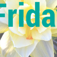 Frugal Friday Linky 35 – Frugal Mommas Home and Garden