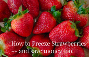 frugal friday linky 37 - freezing strawberries