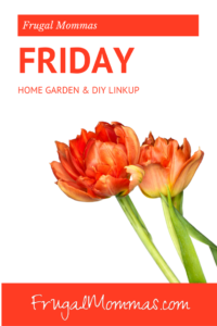 frugal friday home garden linky