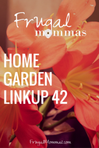 friday home garden linkup 42