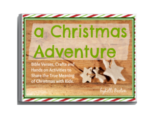 a Christmas Adventure eBook