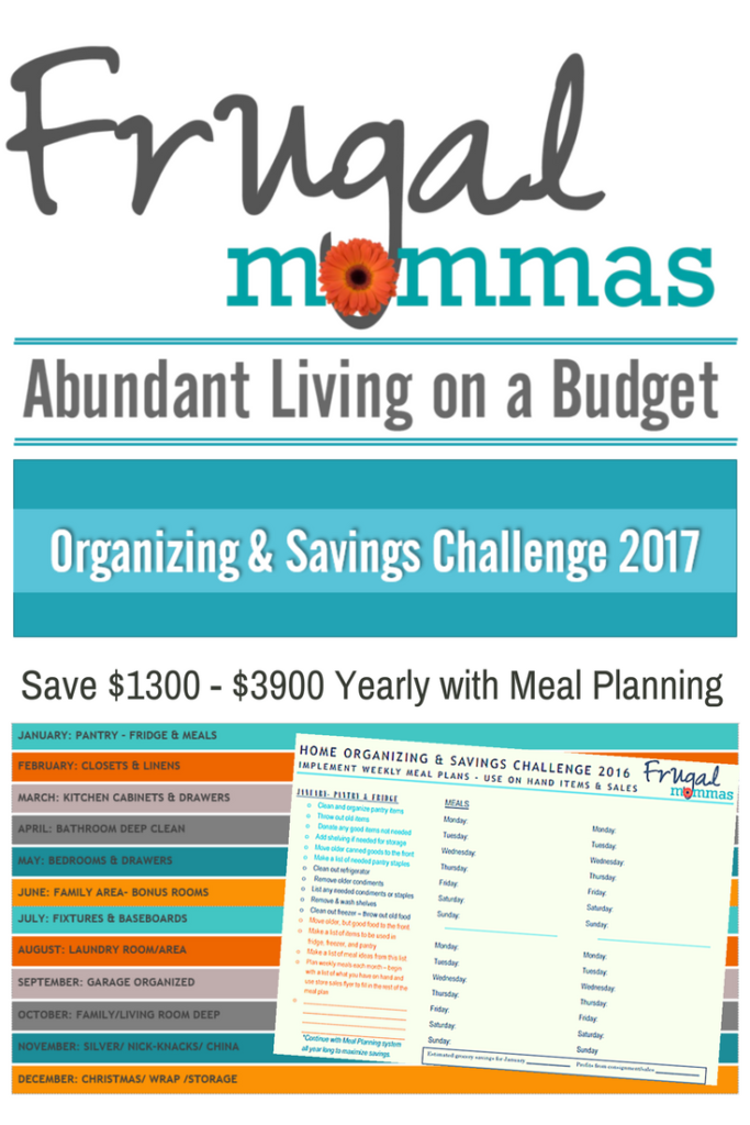 Frugal Mommas Organizing and Savings Challenge 2017