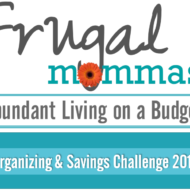 Organizing and Savings Challenge: Save $1300 – $3900+ Yearly