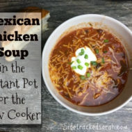 Instant Pot Recipe – Mexican Chicken Soup