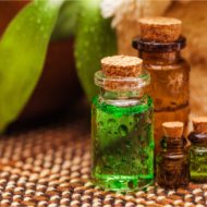 Many Benefits of Petitgrain Essential Oils – DIY Recipe