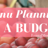 Menu Planning On A Budget