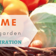 Home Garden Inspiration Linkup 98 with Featured Bloggers