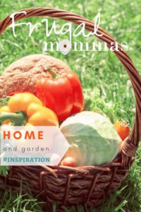 home garden inspiration 98