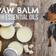 DIY Paw Balm for Pets with Essential Oils